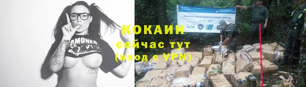 ALPHA-PVP Медногорск